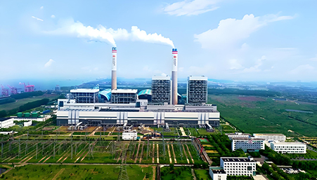 国电泰州发电有限公司